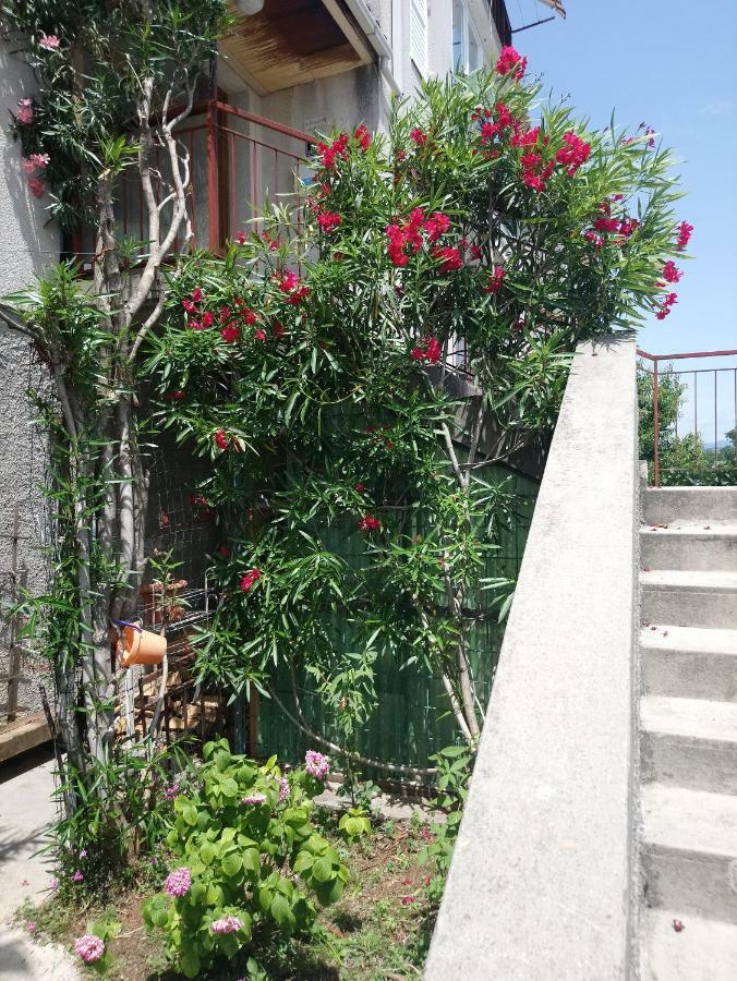 Charming Hill Apartment Opatija Zewnętrze zdjęcie